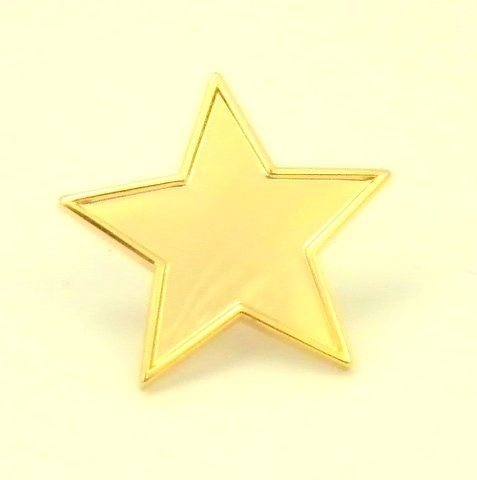 Gold Star Pin Badge