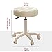 KITCISSL Beauty Stool Lift Chair Pulley Chair Swivel Round Work Stool Beauty Foot Chair Short Stool with Wheels, Lightweight Chairs Liftable Round Stools for Barber Store, Bar (Color : Beige)