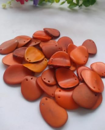 20 Orange Slices Curved Nail Shape from Colombia Rainforest Top drilled Two Holes Size: 2-2.5 x 2-2.5 cm R-1054