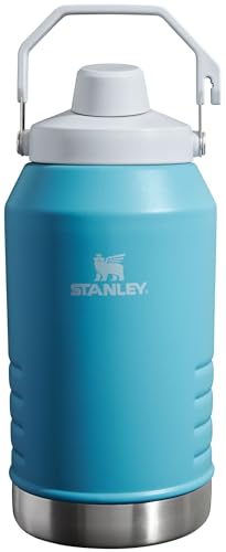 Stanley IceFlow Fast Flow Jug with Handle 96 oz | Twist On Angled Spout Lid | Leakproof for Travel and Sports | Insulated Stainless Steel | BPA-Free | Pool