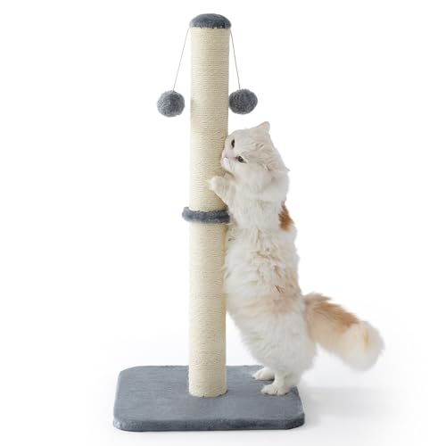 Lesure Kratzsäule Mittelgroßer für Katzen Indoor - 40x40x86cm Kratzstamm mit Hängendem Spielball, Kleiner Kratzbaum mit Sisalseil, Stabile Basis...