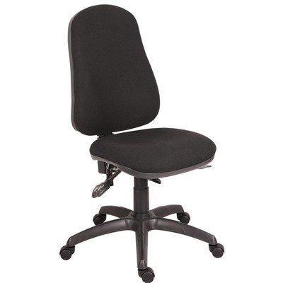 Image of Ergo Comfort High-Back Task Chair Arms: Without Arms, Frame Finish: Black, Colour: Black