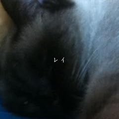 ���C / �J���m�A