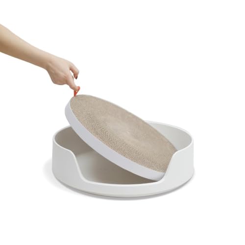 Fiyyuga L̑ gC XNb`[t NbVt{ o̔Lg LlR XRbvt jIC̍Lh~ ̔юU Lpi ㉺2w (Lxbh,zCg)