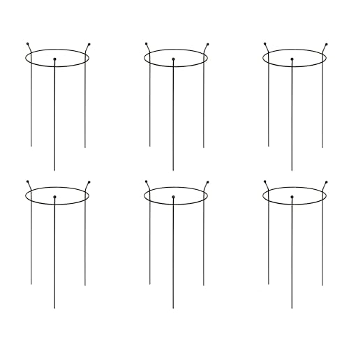 6 Pack of Small 60cm x 35cm Heavy Duty Black Steel Herbaceous Garden Plant Support Ring