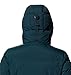 Mountain Hardwear Women's Nevadan Down Parka, Dark Marsh, Small