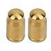 Pilipane Bikes Valve hat, Premium tita nium Alloy Bikes Valve hat, Tire Valve Stem hat Set of 2, Elegant Dusty Covers for Road Bicycles (America Valve Gold)