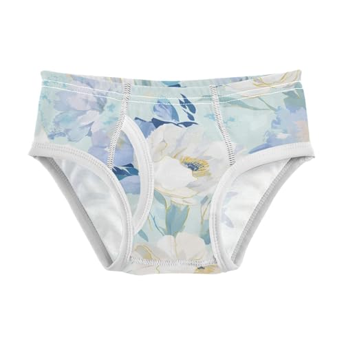 KLL Allover Graphic Floral Toddler Boys' Cotton Training Underwear Cute Children Undies