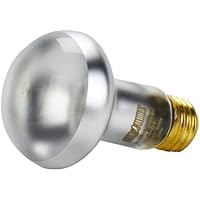 Exo Terra Lámpara Intense Basking Spot, 50 W