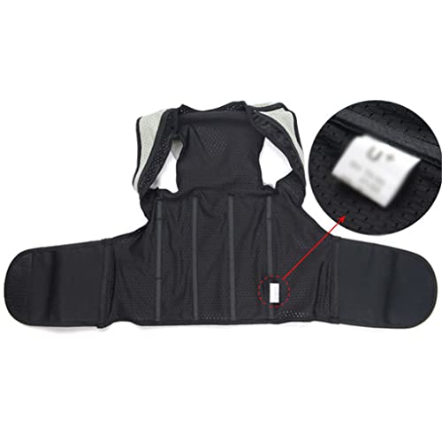 Correcteur de posture pour le bureau avec ceinture lombaire droite XXL - 5