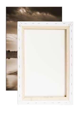 Impression lion sur toile 100 x 70 motif sépia symbole de force