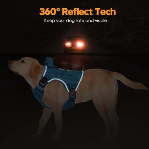 Heavy-Duty Tactical Dog Harness for Large Dogs, No Pull Adjustable Reflective Pet Vest with Molle System, K9 Military-Grade Control for Service Training, Outdoor & 10+ Breeds, Blue, Small