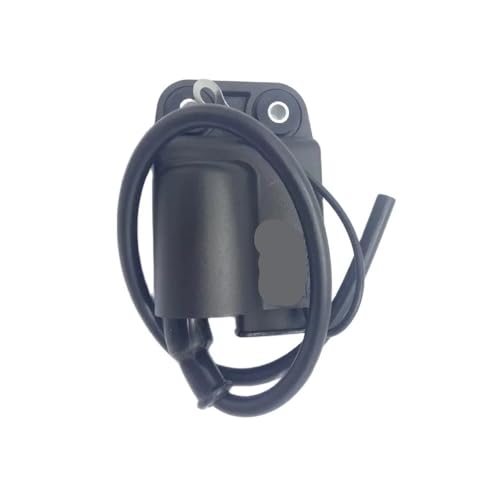 Bobina de encendido de 12V para moto NRG: arranque estable 2