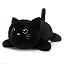 Black Cat