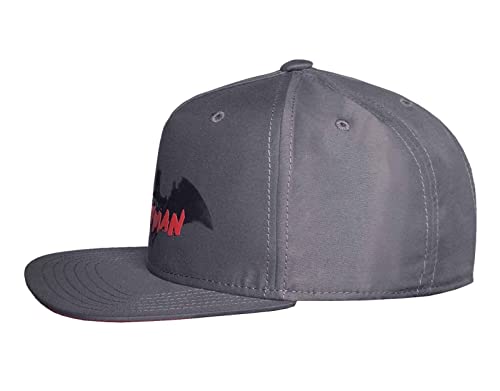 Gorra Batman DC Comics infantil gris con visera plana ajustable snapback 2