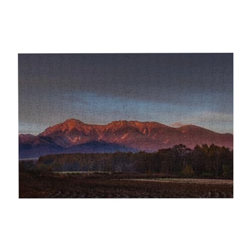 쌧 Ăɐ܂锪x {̕iʐ^ 300 s[X ؐWO\[pY lEq mߋ aMtg 38cm×26cm