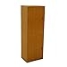 HomeRoots Wood Standard Natural Two Door Verticle Adjustable Book Shelf