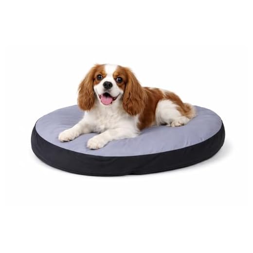 Karlie Kissen, Oval Doc Bed, 60 x 50 x 8 cm