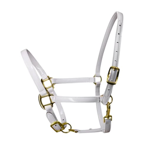 Cabestro portátil para caballos que evita rozaduras durante el entrenamiento para clásica