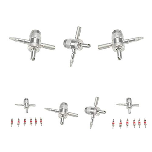 POPETPOP 12 Pcs 4 Vias VÃ¡lvula Ferramenta Ferramenta Removedor de NÃºcleo Ferramenta de Reparo de P