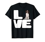 Perro English Springer Spaniel Regalo