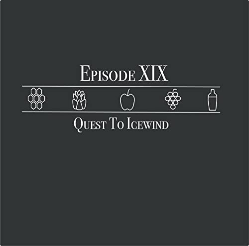 Quest To Icewind cover art