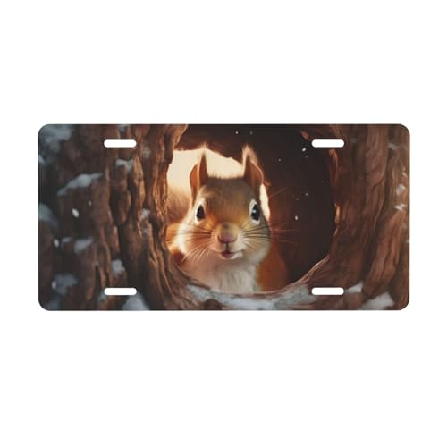 Funny Squirrel with Tree Hole License Plate, Decorative Car Front License Plate, Aluminum Novelty License Plates Vanity Tag Metal Car Plate for Women Men 6 X 12 Inch