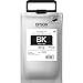 Epson DURABrite Ultra Standard Capacity, Black -Ink (TR12120)