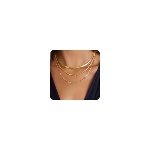 SWRNR Layered Herringbone Necklace Set