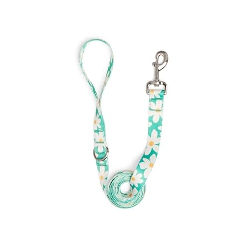 Youly by Petco Daisy Dog Leash Daisy 6-ft Long 1-in Wide