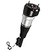 Front Air Suspension Shock Strut Compatible with 2007-2013 Mercedes Benz S-Class W221 S350 S400 S550 S600 S63 S65 AMG Without 4Matic/ABC, Front Shock Absorbers OEM Replaces# 2213209313 2213204913