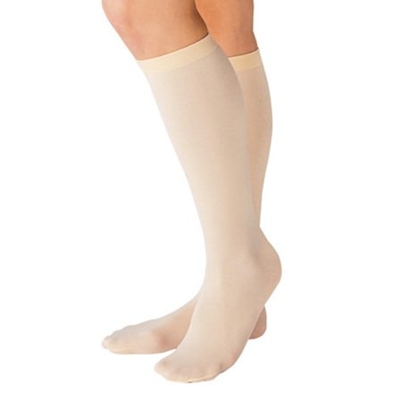 チャコットChacott バレエハイソックス (レディス用 22.0cm～25.5cm)
