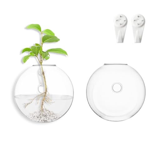 wangsdjy Estações de propagação de plantas montadas na parede – v...