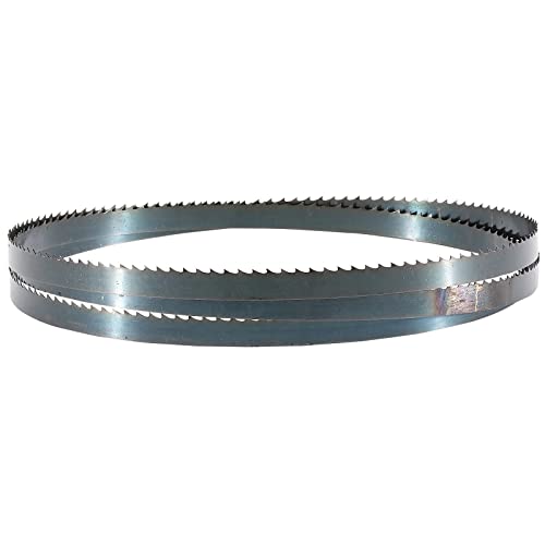 Draper 00523 Wood Bandsaw Blade, 1575 x 9.5mm, 6tpi, Silver,One Size