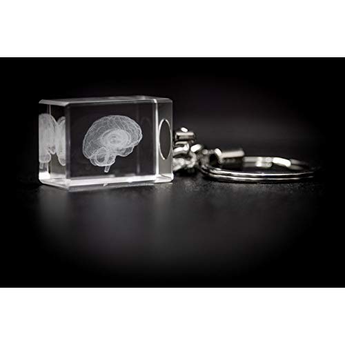 Human Brain Anatomy Model Doctor Psychology Graduation Gifts for Him Her, 3D Laser Etched Crystal Cube Brain Figure keychain Science Biology Gift with Colorful Pocket Chart, sticky notes and more