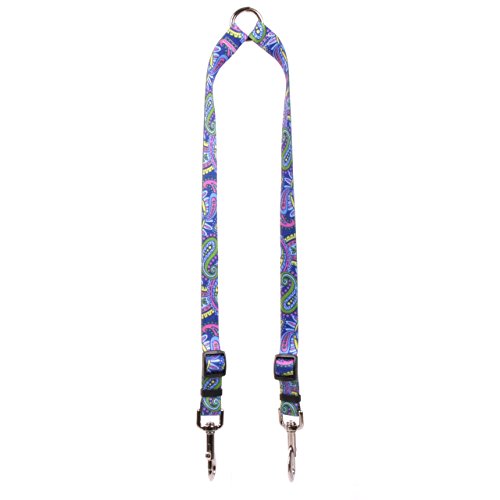 Yellow Dog Design Paisley Power Coupler Dog Leash, Medium-3/4 Wide and 12 to 20