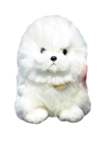 Peluche Chien Poméranien Blanc de qualité supérieure doudou loulou de poméranie
