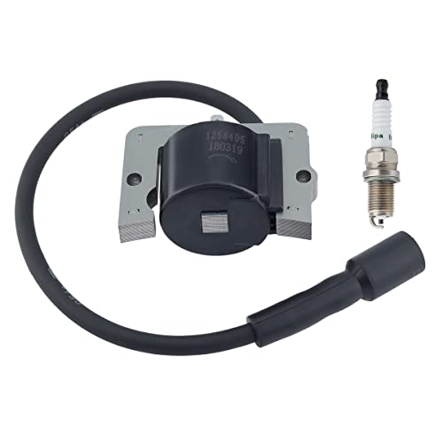 Kohler Ignition Coil Problems How to Fix it? LawnAsk