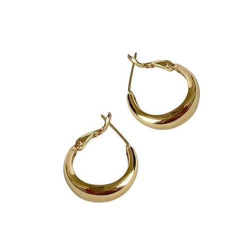 14K Real Gold Plated Hoop Earrings for Women,Small Gold Hoop Earrings for Women, Hypoallergenic 925 Sterling Silver Post, Lightweight Exquisite Wife Earring Mother Gift