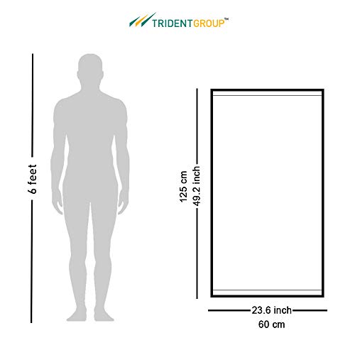 Trident Trisafe - Small Bath Towels, Set Of 6 - Small Sized Luxury Towels - 24 X 49 Inch, Bathroom Shower Towels, Hair Towel, Super Absorbent, Quick Dry, Hotel Quality Daily Use Towels - Beige #TOP6