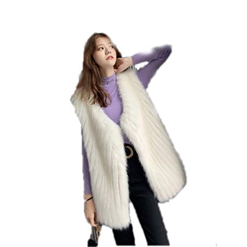 ZAZA Ladies Vest Jacket Women's Warm Sleeveless Vest Plush Vest,V-Neck Lightweight Cardigan Vest,Fall Winter Warm Vest Ladies Vests Sleeveless (Color : White, Size : Small)