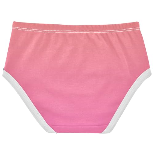 Joisal Coral Pink Hot Gradient Little Girl Panties Toddlers Underwear Floral Cotton Fancy Underpants Briefs 2t2