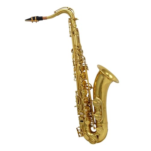 vtFbViTbNX S҂̗KɓKBtbgei[TbNXy(Gold)