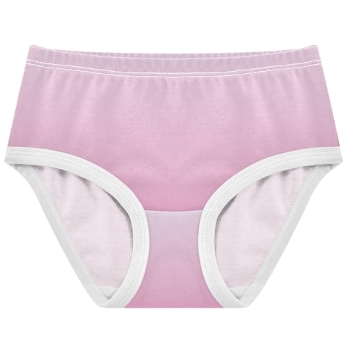 Joisal Magnolia Flamingo Gradient Ombre Toddlers Underwear Floral 2t Cotton Panties Little Girl Fun Print Briefs Underpants