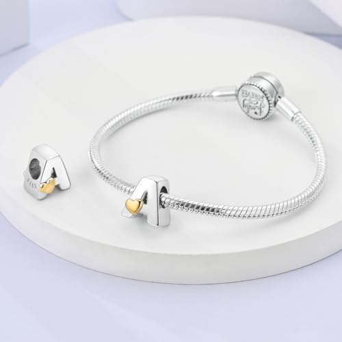 Parmuz Charms for Bracelets 925 Sterling Silver summer travel Ocean Lucky charm beads Pendant Jewelry for Woman Mom 5