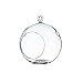 WGV 5.5" Glass Hanging Terrarium / Votive Holder