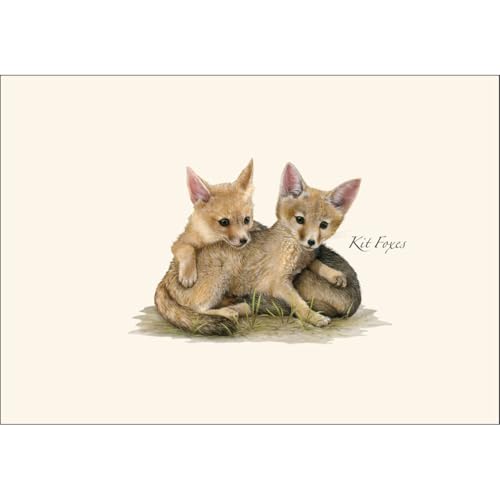 Image of Earth Sky + Water - Kit Foxes Notecard Set - 8 Blank Cards with Envelopes