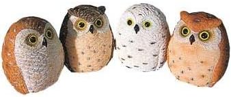 Cabin Axentz Owl Miniature Small Collectible Figurine Figure Statuette, 2.5", (1-pc Random)
