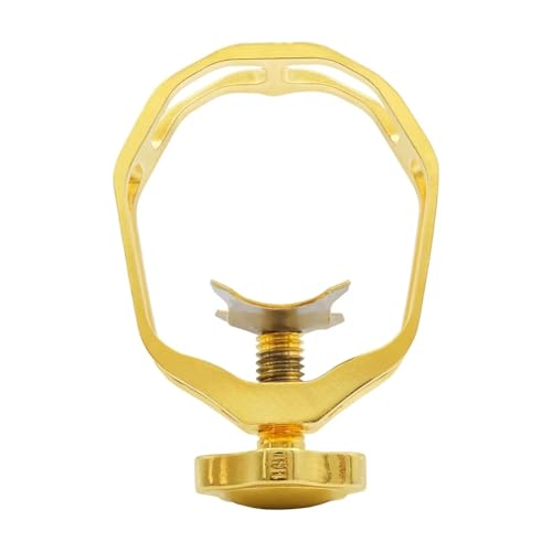 Kit pince de porte-parole alto saxophone capuchon protection accessoires pièce instrument
