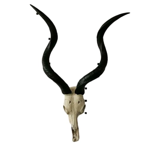 Cráneo de Vaca, decoración de Pared, imitación de Cuerno Largo, taxidermia Hecha a Mano, Cabeza de Toro Colgante, Estilo Granja, 31 Pulgadas (I)